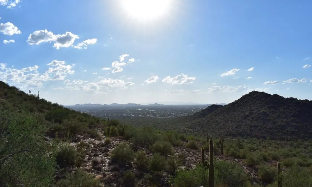 Desert landscape featuring cacti, rolling hills, and distant mountains under a bright, sunny sky.
